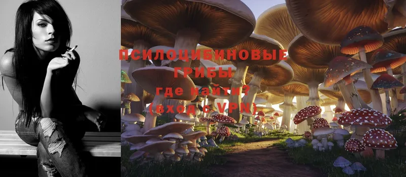 Псилоцибиновые грибы Magic Shrooms  Нижнеудинск 